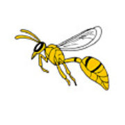 180x180 Wasp Flying Drawing Digital Art