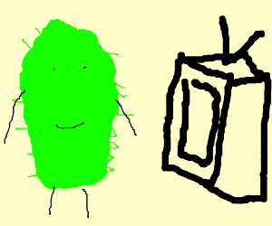 300x250 Television + Cactus