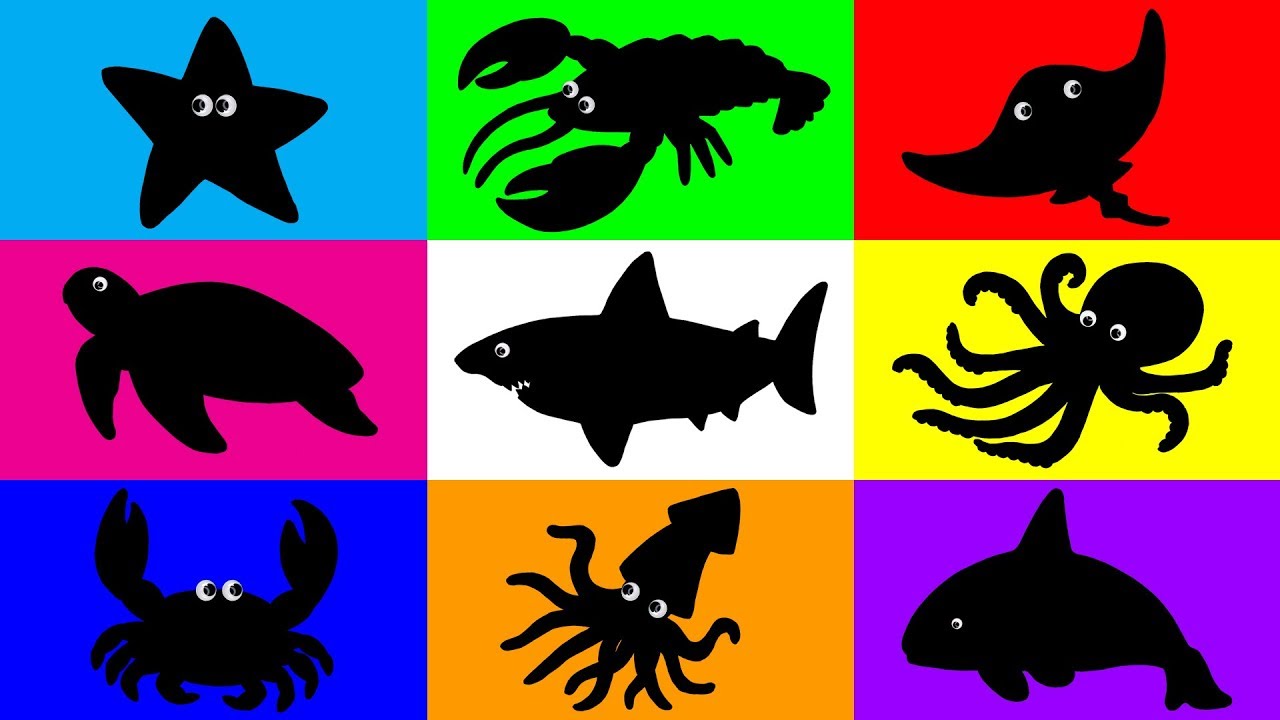 1280x720 Sea Animals For Kids, Puzzle Animation Learning For Childrenlearn