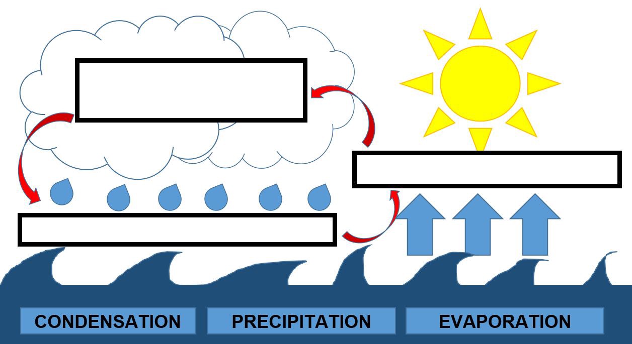 1256x685 Mini Lesson Plan The Water Cycle Littlelives