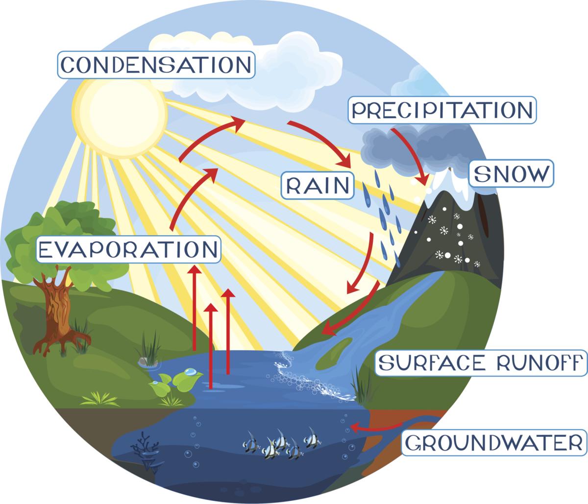 1200x1029 A Simple Guide To The Steps Of The Water Cycle