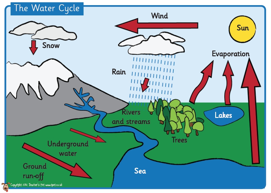 Water Cycle Drawing | Free download on ClipArtMag