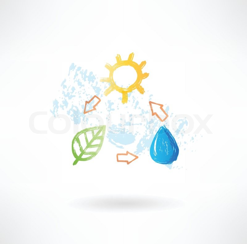 800x788 Water Cycle Grunge Icon Stock Vector Colourbox