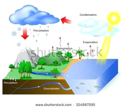 450x372 Easy Diagram Of Water Cycle Theglobalwatch Club