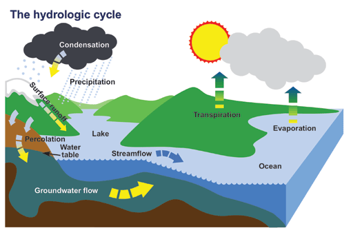 509x357 Collection Of Free Infiltration Clipart Water Cycle Download On Ui Ex