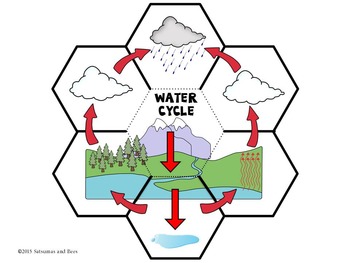 350x263 The Water Cycle Interactive Science Notebook {foldables}