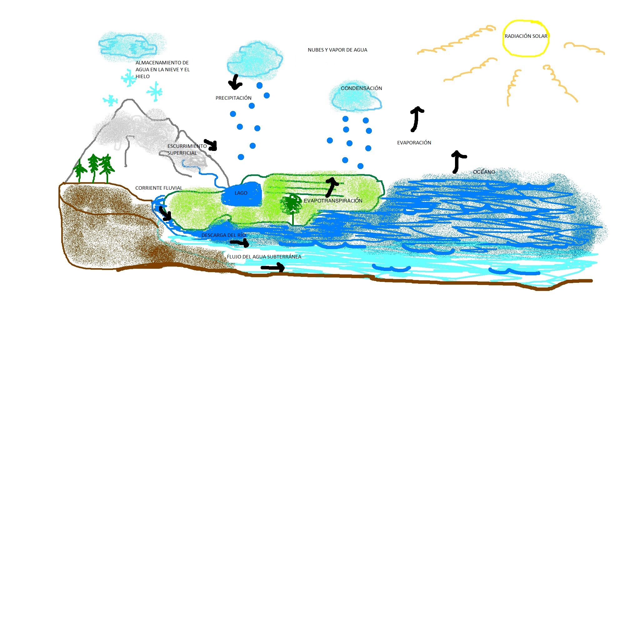 2000x2000 Unit The Water Cycle And Freshwater Resources