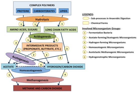 550x369 Water February