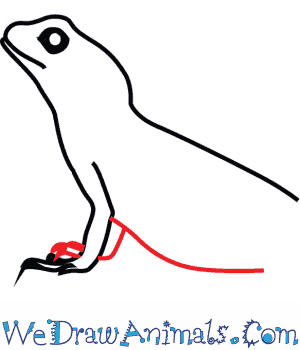 300x350 How To Draw An Asian Water Dragon