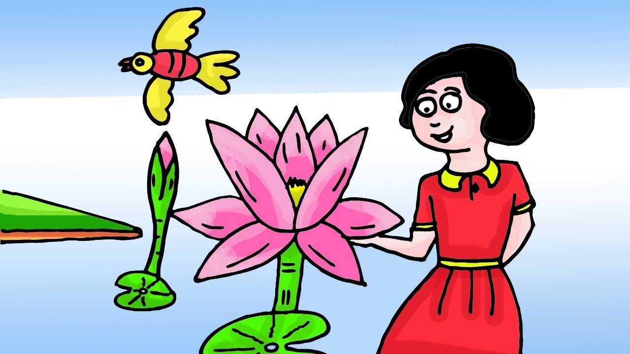 1280x720 how to draw a water lily scenery scenery of children collect