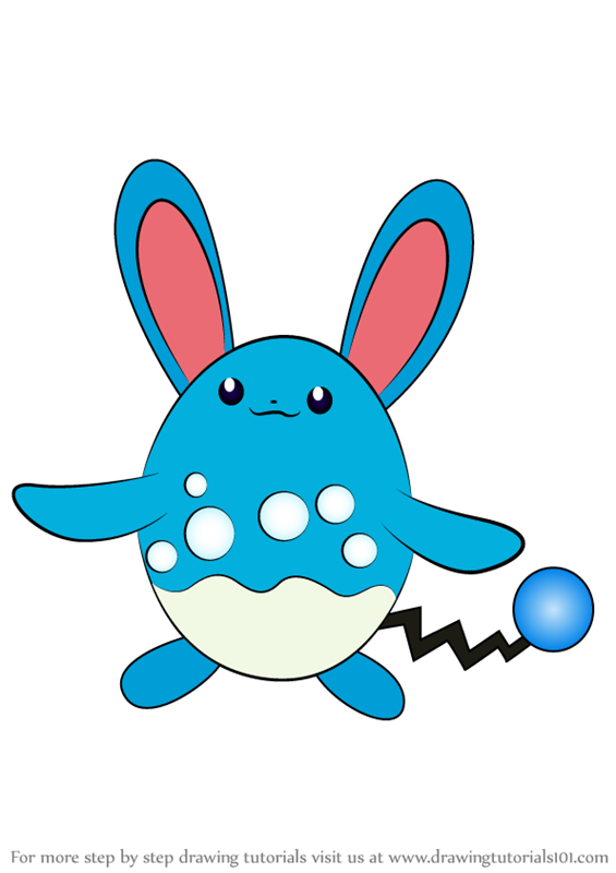 565x800 Learn How To Draw Azumarill From Pokemon