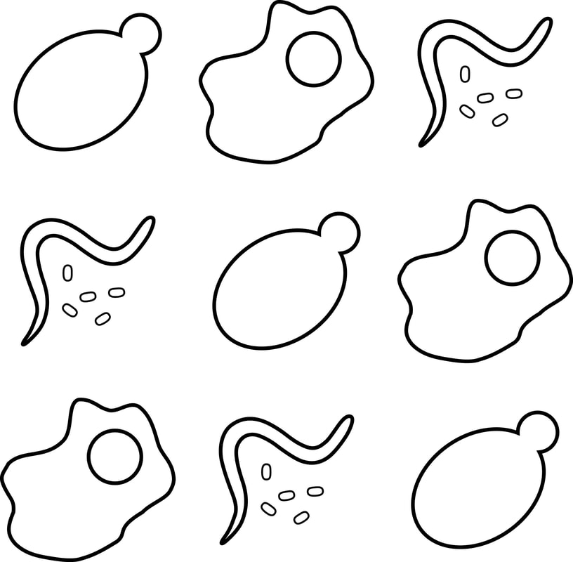 816x800 Thibault Lab