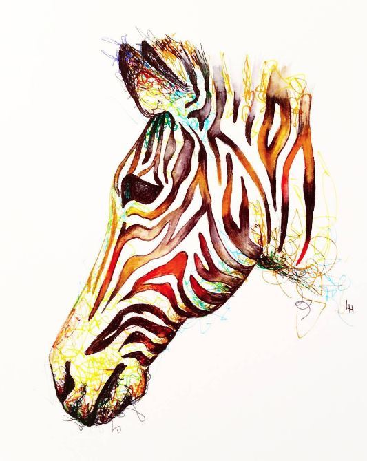 533x670 zeba drawn in stabilo pen lily hammond art