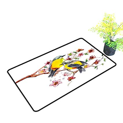425x425 Gmnalahome Extra Thick Door Mat Effect Drawing Birds