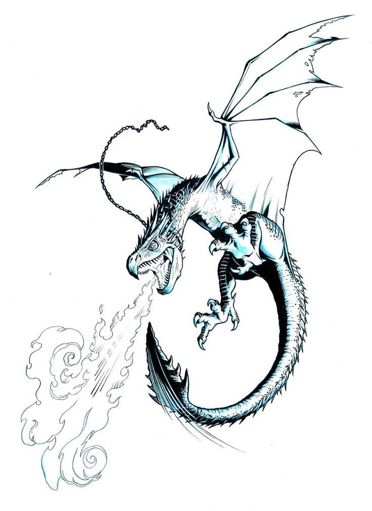 736x1010 Dragon And Fairy Drawing