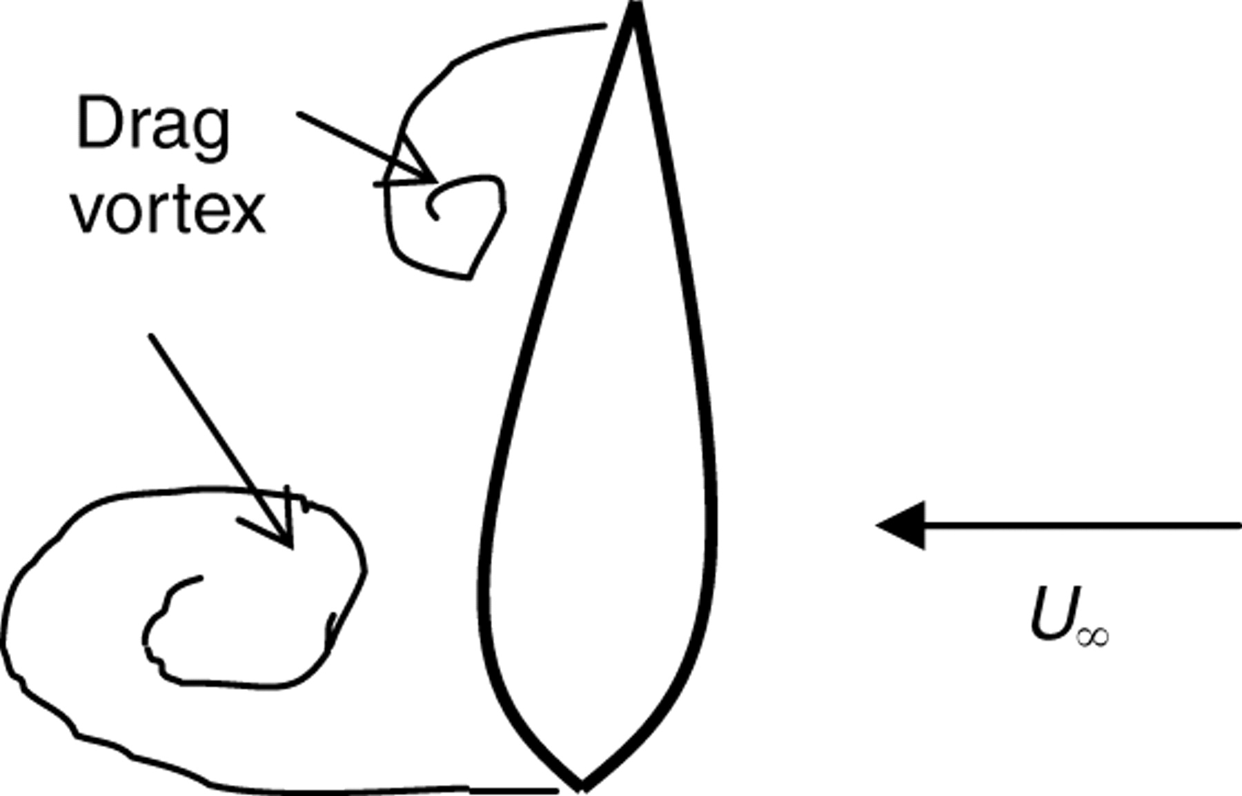 1800x1154 Biorobotic Insights Into How Animals Swim Journal
