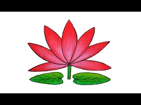 480x360 How To Draw Water Lily Step