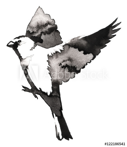 430x500 Black And White Monochrome Painting With Water And Ink Draw Tit