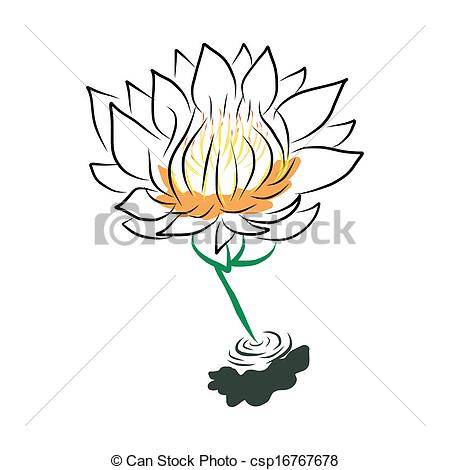 450x470 Hand Drawing Water Lily, Lotus, Flower Vector Vectors