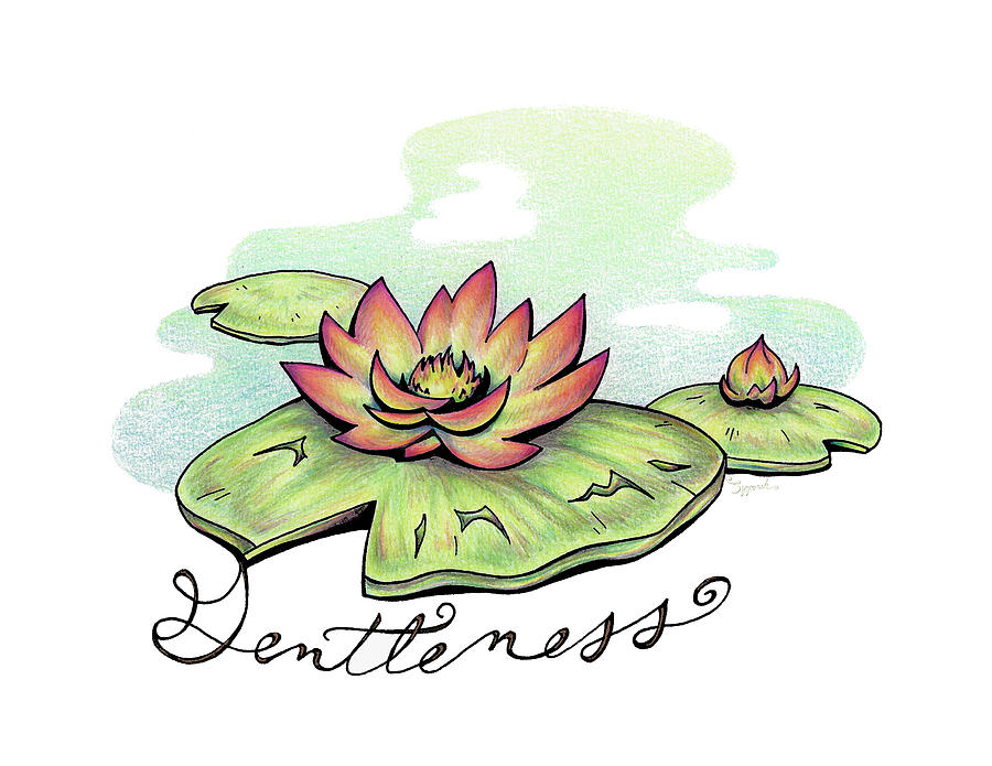 900x695 Inspirational Flower Water Lily Drawing
