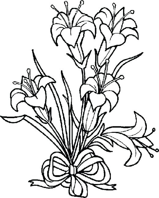 522x650 Lily Coloring Water Lily Line Drawing At Getdrawings Free