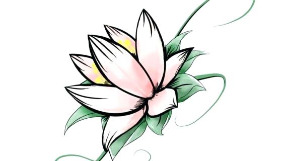 570x320 Lotus Flower Drawing How To Draw A Lotus Flower Water Lily Step