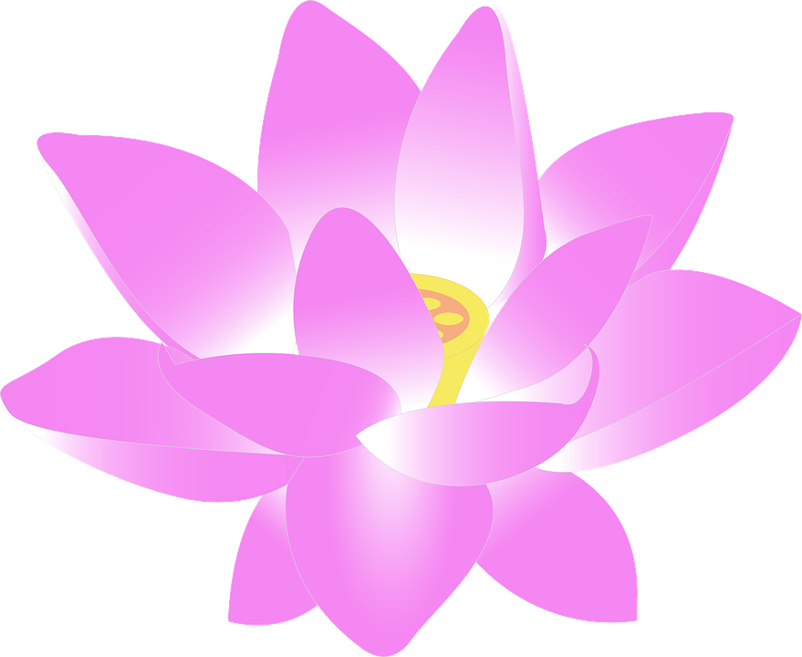 879x720 Collection Of Free Chinese Drawing Water Lily Download On Ui Ex