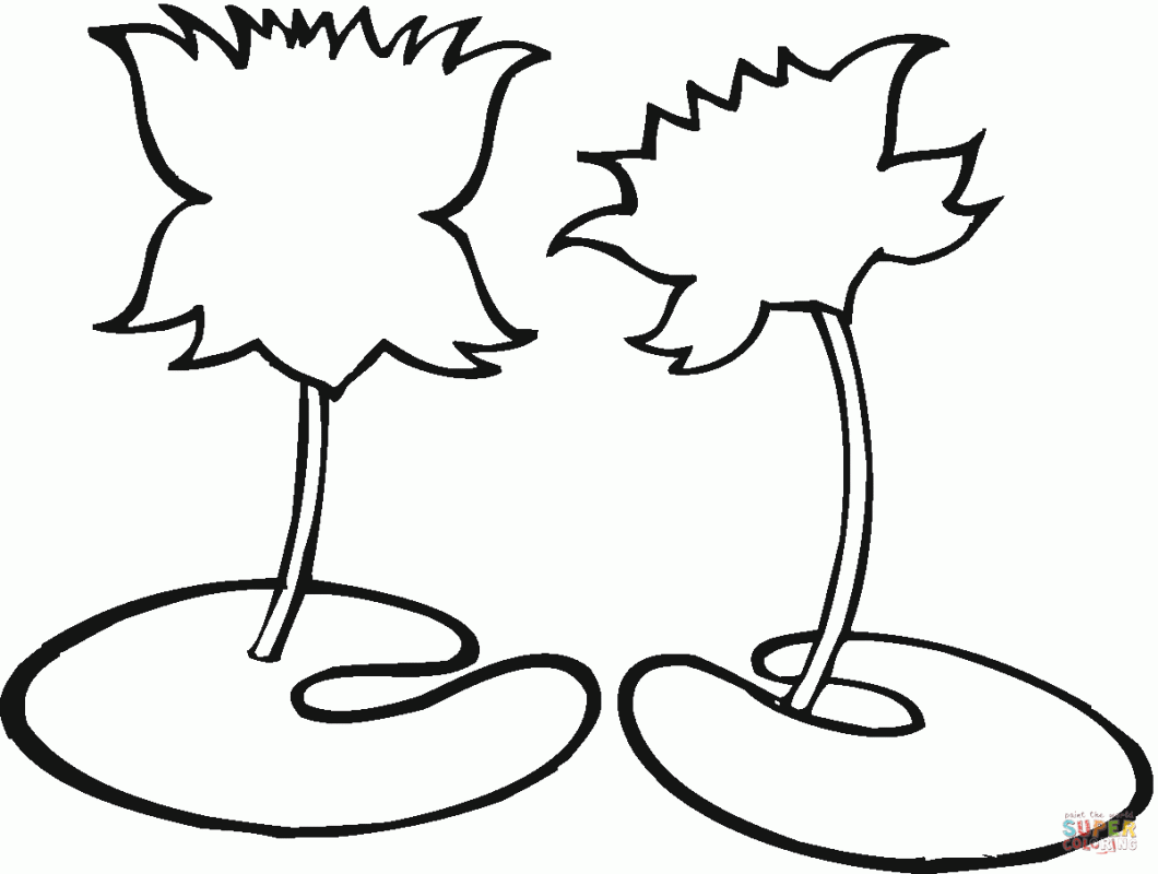 1060x800 Water Lily Outline Enlightening