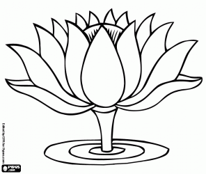 296x250 Water Lily, An Aquatic Flower Henna Tattoos I Actually Think I