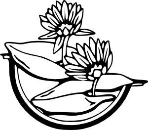 300x263 Water Lily Clip Art