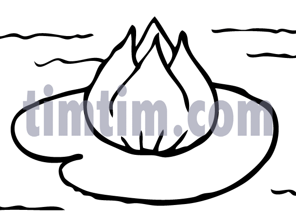 609x460 Free Drawing Of A Waterlily Bw From The Category Climate Nature