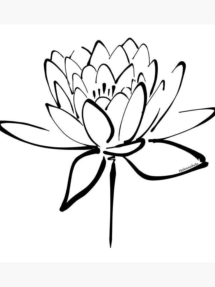 750x1000 Lotus Flower Calligraphy