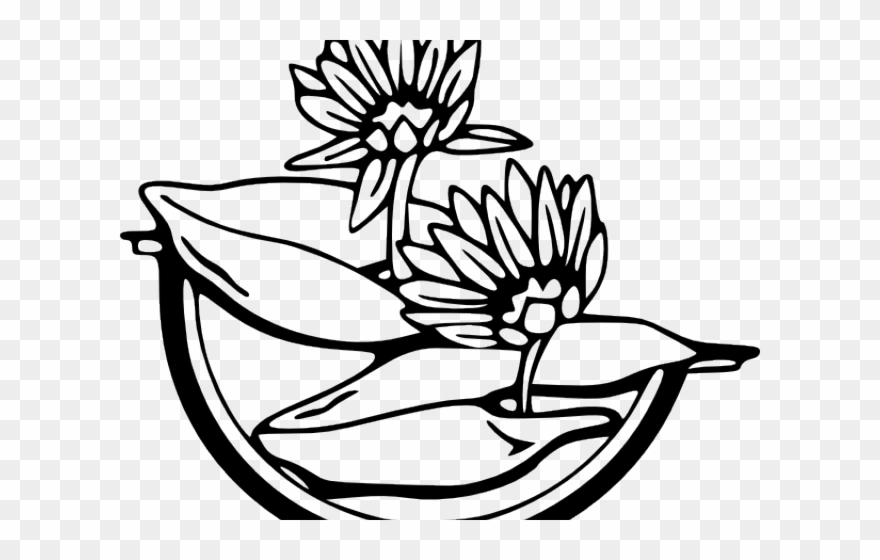 880x560 Water Lily Clipart Diagram