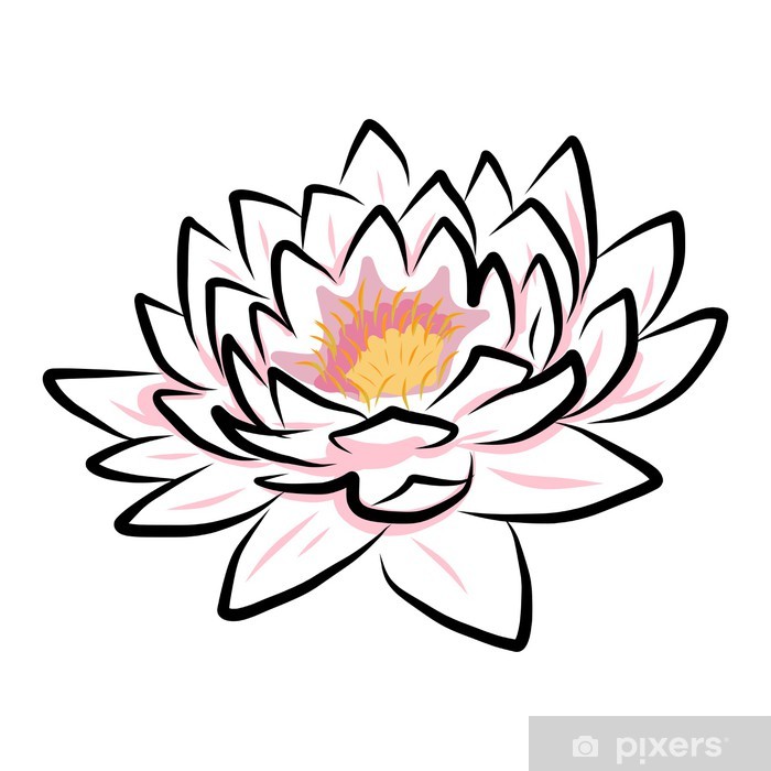 700x700 Hand Drawing Water Lily, Lotus, Flower Wall Mural We