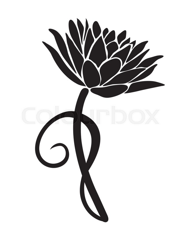 640x800 Floral Water Lily For Design, Vector Stock Vector Colourbox