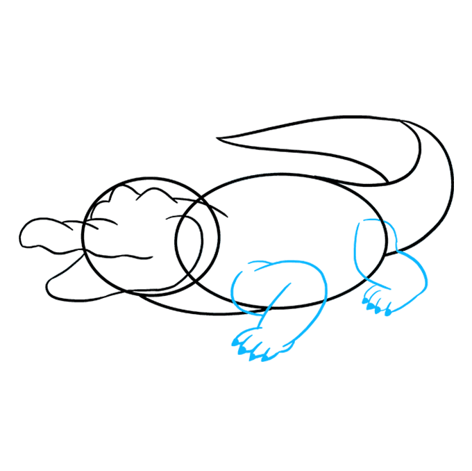 680x678 Huge Collection Of 'alligator In Water Drawing' Download More