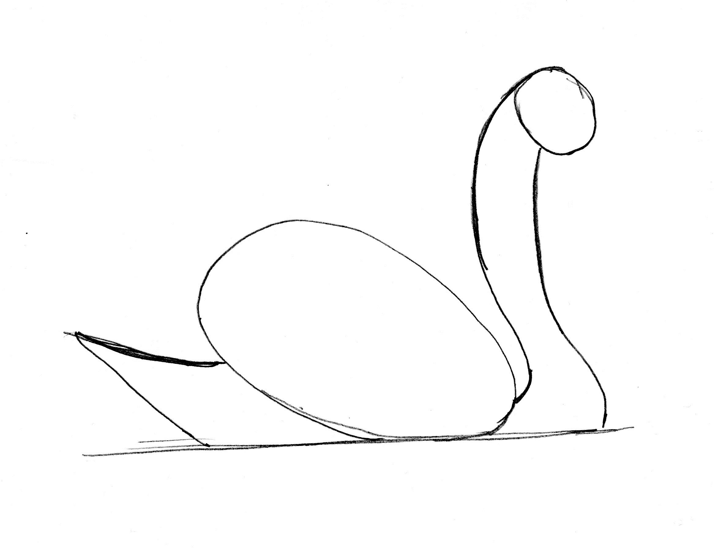 2333x1796 Swan Drawing Step