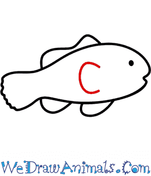 300x350 How To Draw A Clownfish