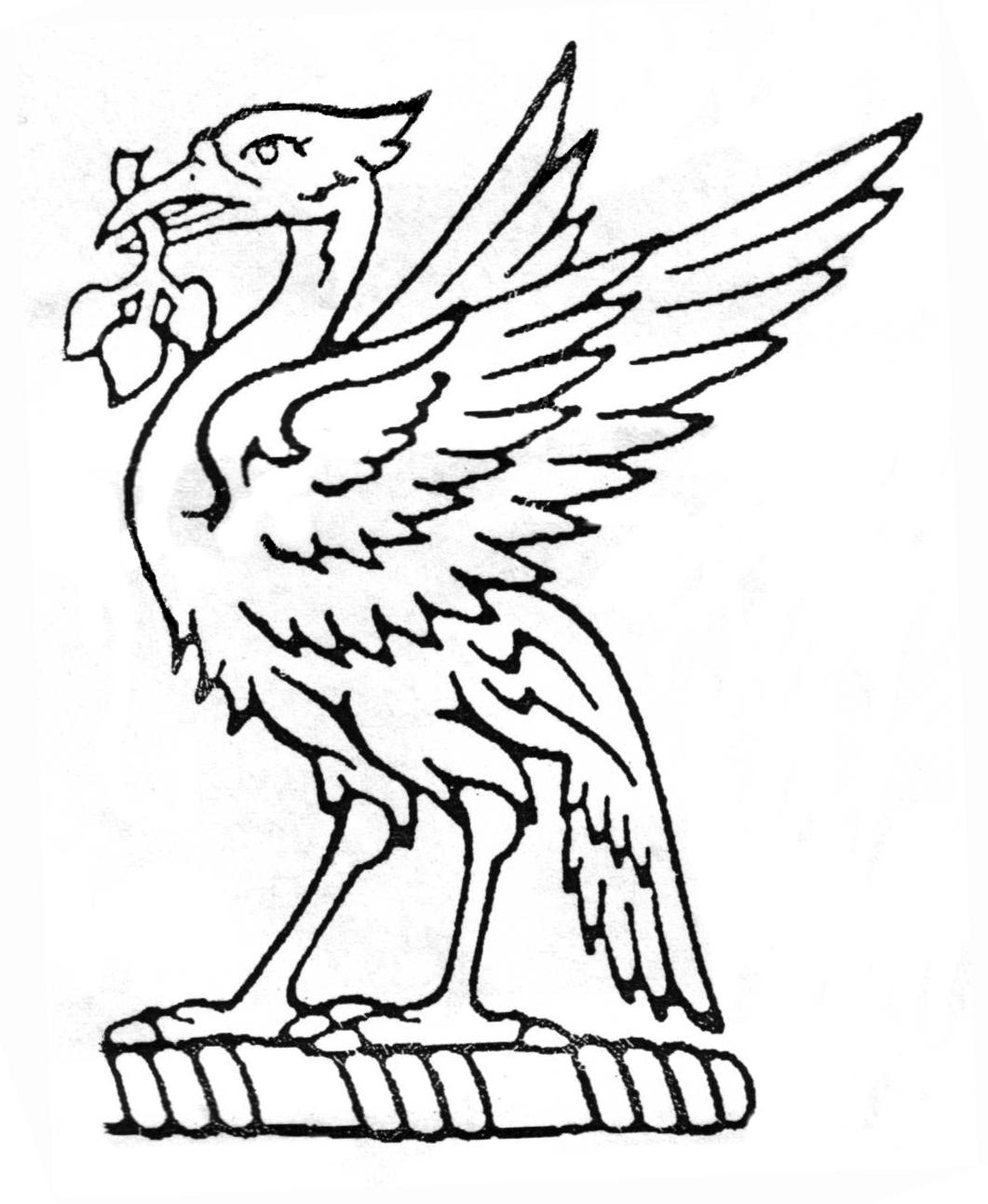 1061x1293 Water Polo Drawing