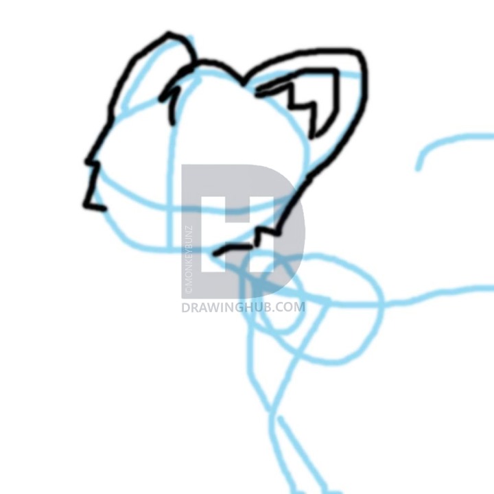 720x720 How To Draw A Cat, Step