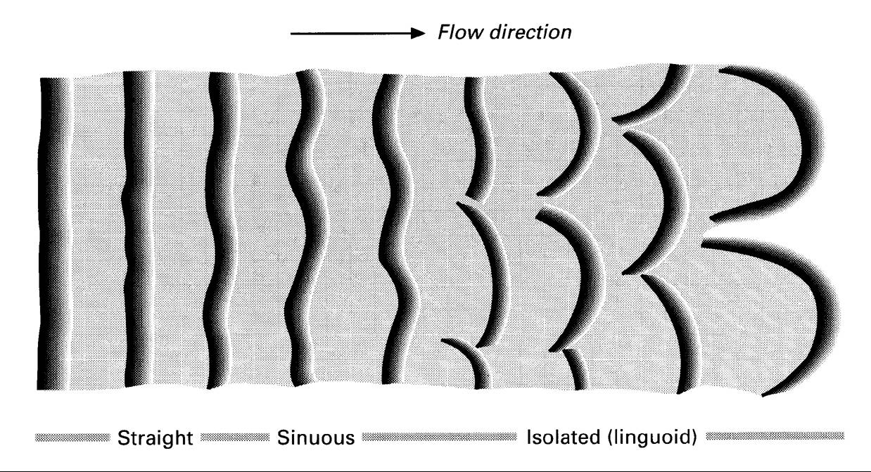 1238x671 Untitled Document