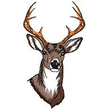 355x355 Water Slide Nail Decals Transfers Buck Deer