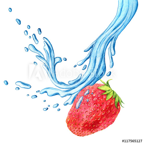 498x500 Watercolor Drawing Strawberry With Water Splash