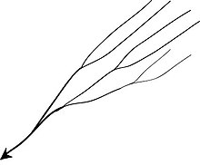 220x182 drainage system