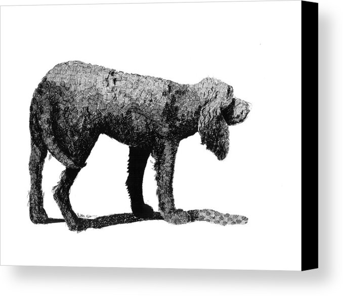 678x584 American Water Spaniel Canvas Print Canvas Art