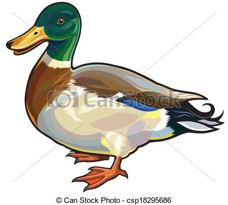450x404 Drawings Of Ducks