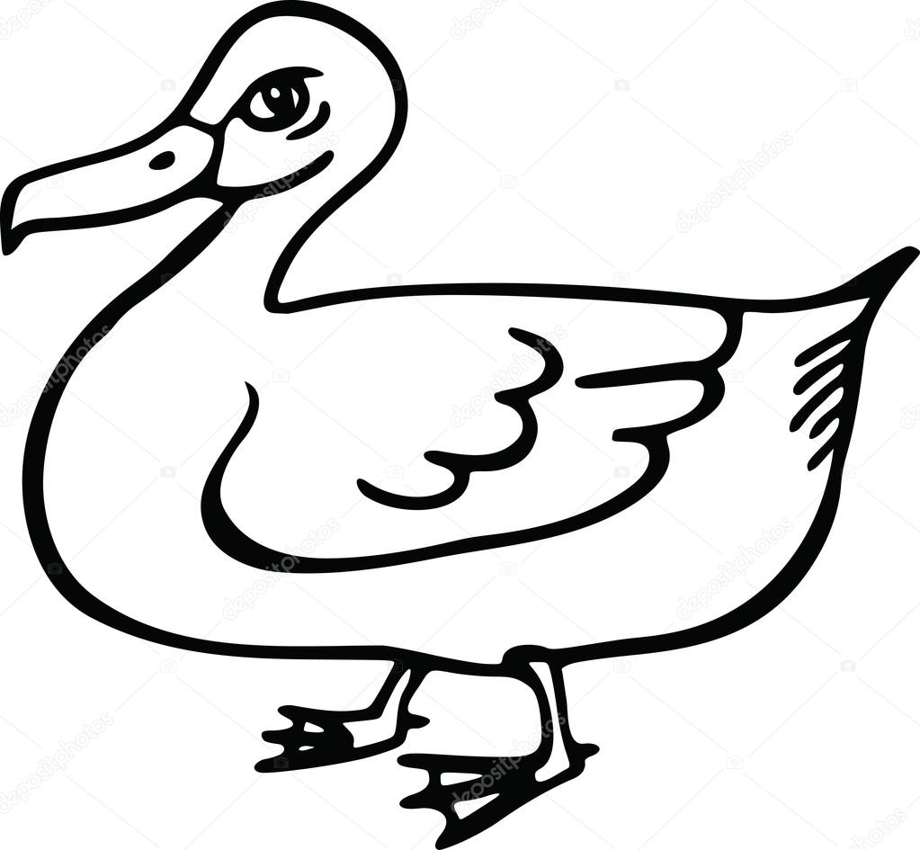 1023x945 Duck Drawing Line For Free Download