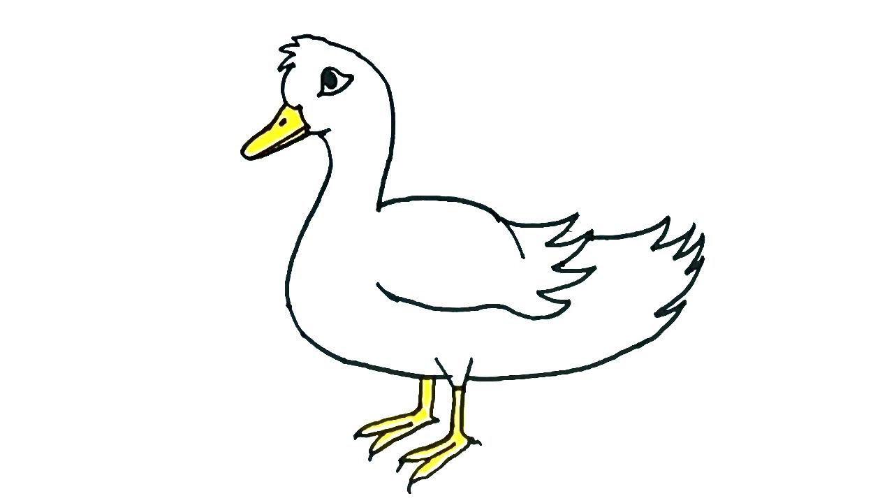 1280x720 How To Draw A Duck For Kids In English How To Draw Animals