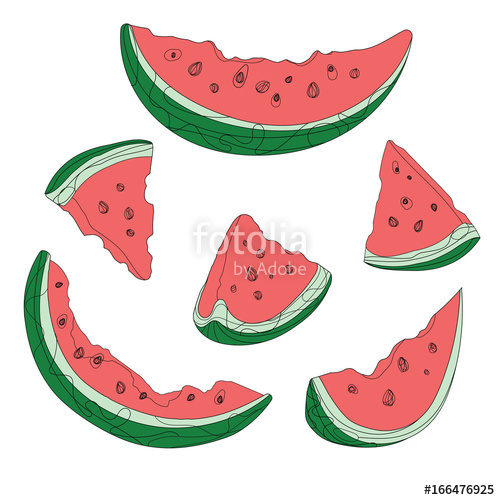 500x500 Vector Set Of Slices Of Watermelon Drawing