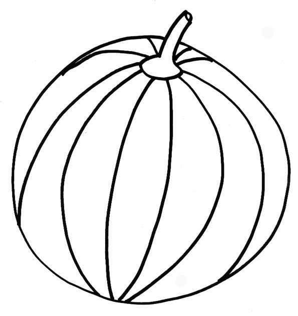 595x631 Watermelon Line Drawing